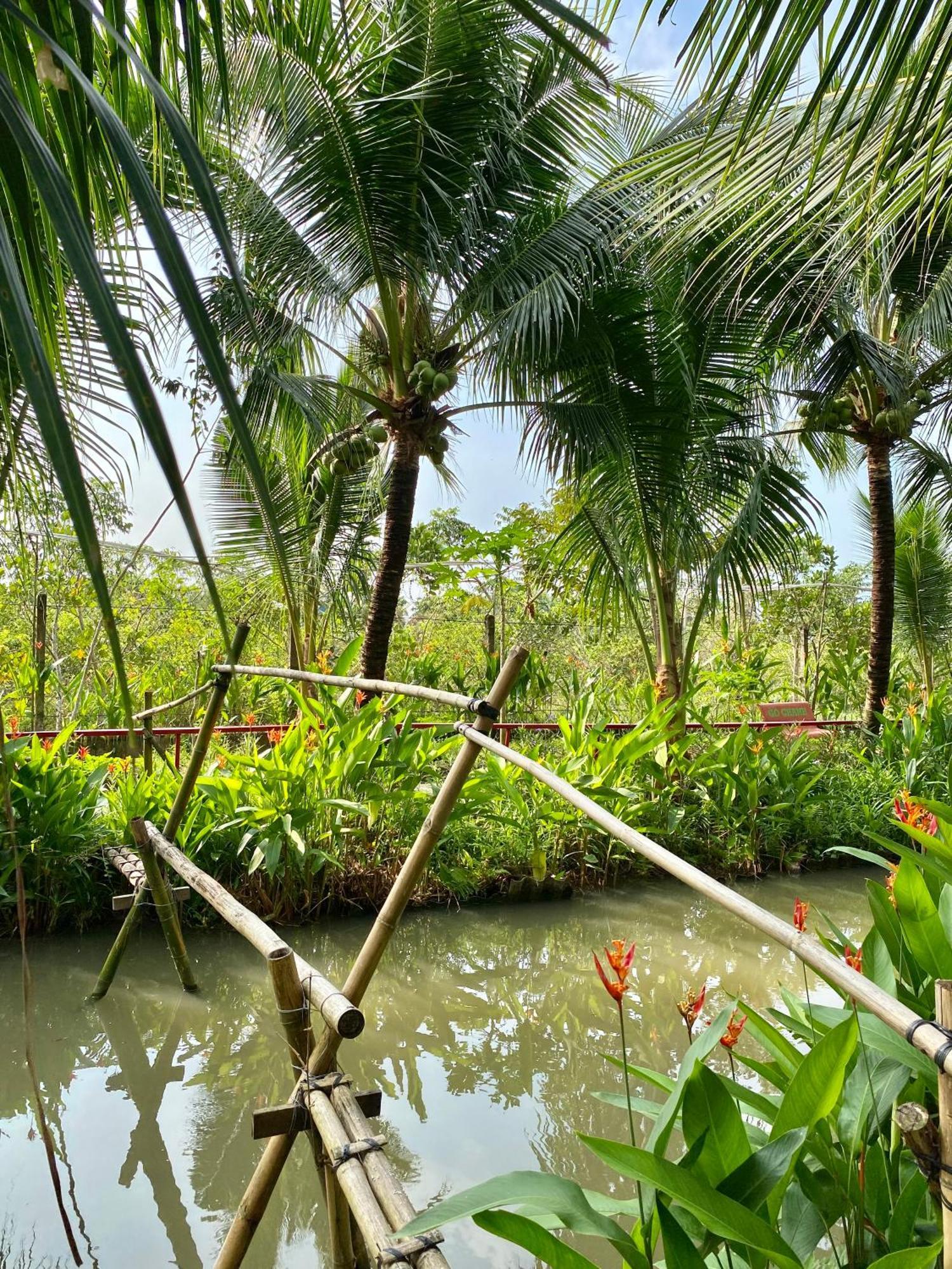 Go Chanh Homestay Cai Rang Esterno foto